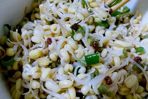麻香绿豆芽的做法图解8