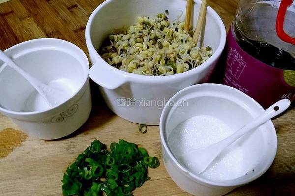 麻香绿豆芽的做法图解7