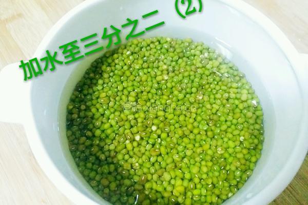 绿豆芽（自己泡发最健康）的做法图解5