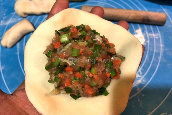 鲜肉蔬菜馅饼的做法图解4