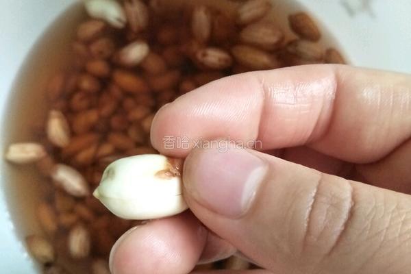 自制花生露的做法图解2