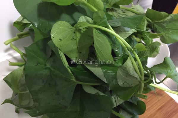 豆酱炒薯苗的做法图解1