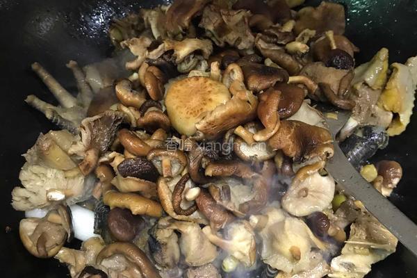 野生菌烧鸡的做法图解6