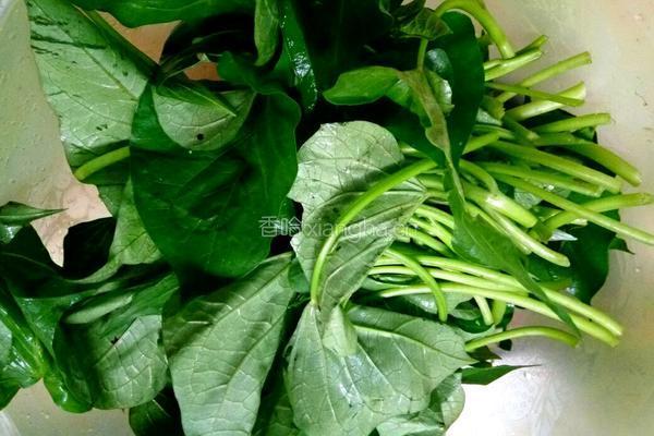 豆豉红薯叶的做法图解2