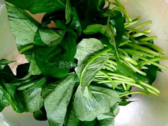 红薯叶摘掉老梗、挑出烂叶、清洗干净、沥干水份
