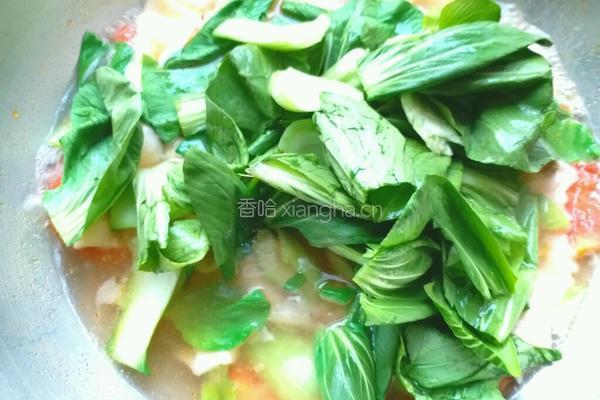 西红柿肉丝面片汤的做法图解11