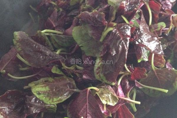 牛肉蔬汁面的做法图解1