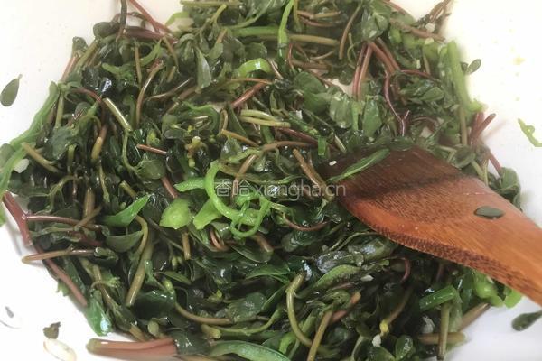 青椒炒马齿苋的做法图解10