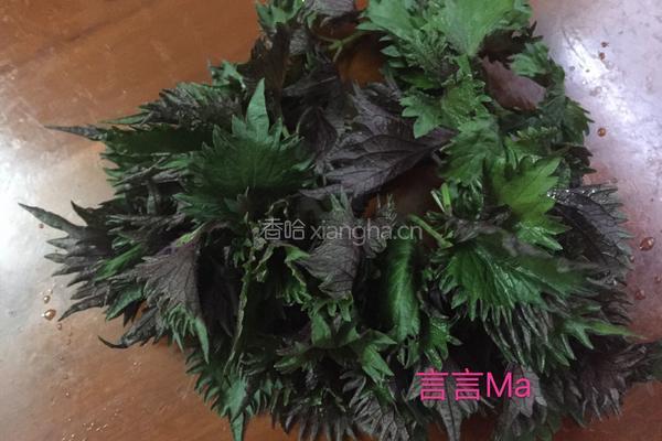 紫苏炒豆角的做法图解3