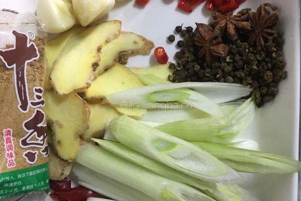 麻辣小龙虾的做法图解4