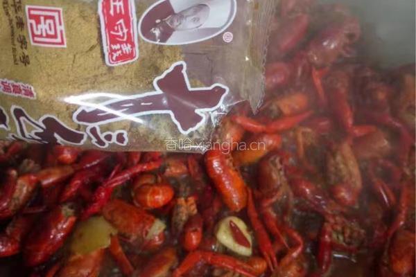 麻辣小龙虾的做法图解9