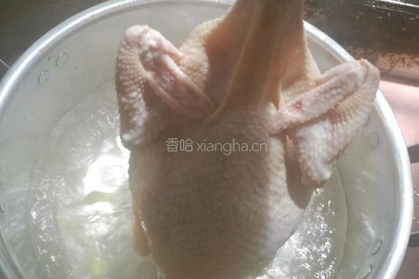 白切鸡的做法图解5
