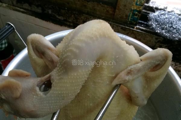 白切鸡的做法图解7