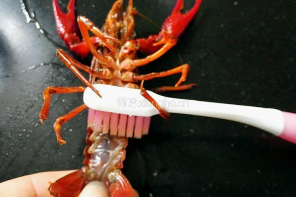 蒜泥龙虾的做法图解2