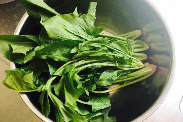 菠菜粉丝汤的做法图解3