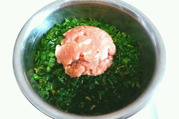 荠菜韭菜猪肉馅的做法图解4