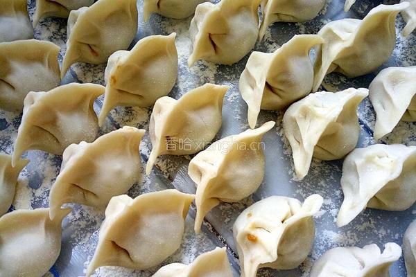 猪肉芸豆水饺的做法图解6