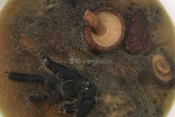 乌鸡香菇汤的做法图解6