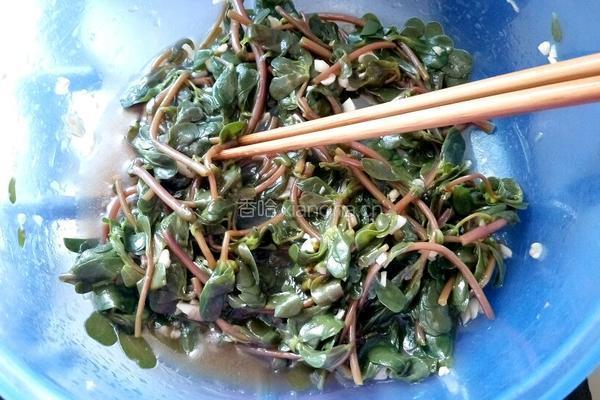 凉拌马牙菜的做法图解6