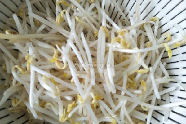 绿豆芽炒韭菜的做法图解1