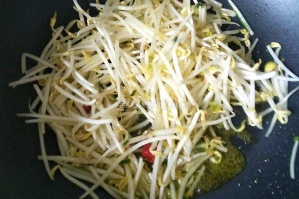 绿豆芽炒韭菜的做法图解6