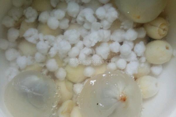 荔枝羹的做法图解5