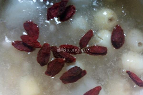 荔枝羹的做法图解7
