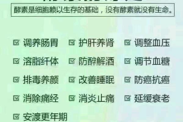 火龙果新酿酵素的做法图解1