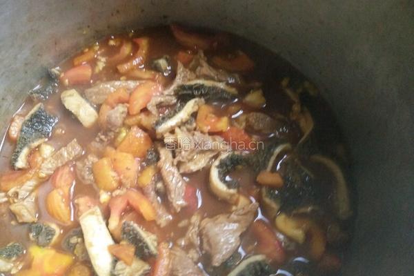 番茄牛肚牛肉的做法图解12