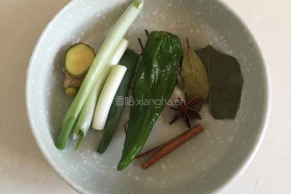 牛肉西红柿汤的做法图解3