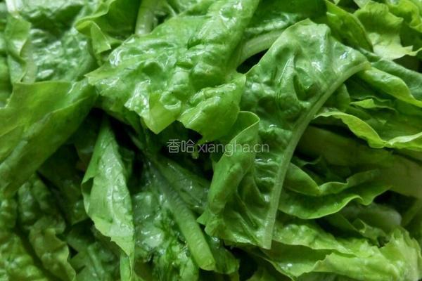 炝炒凤尾的做法图解1