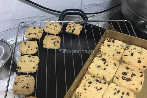 蔓越莓饼干的做法图解11