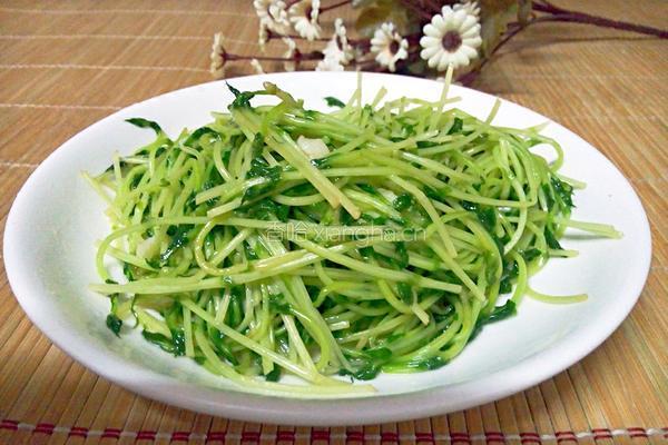 清炒豆苗的做法图解4