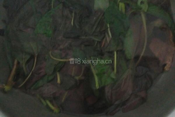 苋菜拌粉条的做法图解3