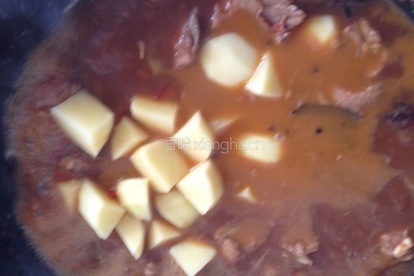土豆粉皮焖鸡的做法图解9