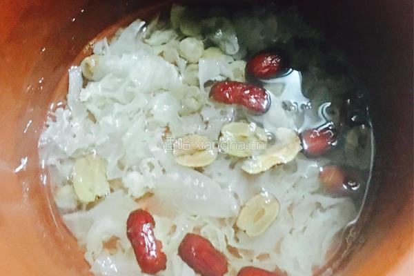 红枣银耳桂圆羹的做法图解6
