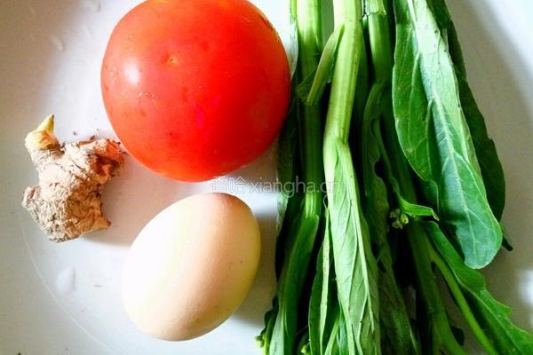 番茄鸡蛋青菜面的做法图解1