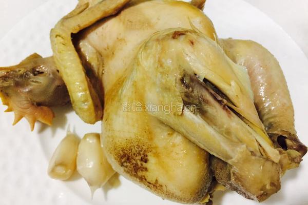 椒麻手撕鸡的做法图解3