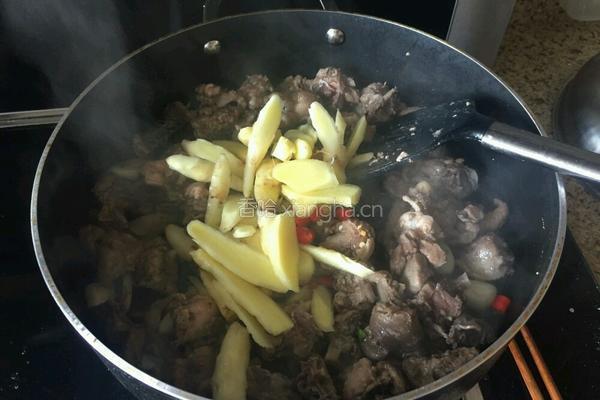 土鸡做法的做法图解8