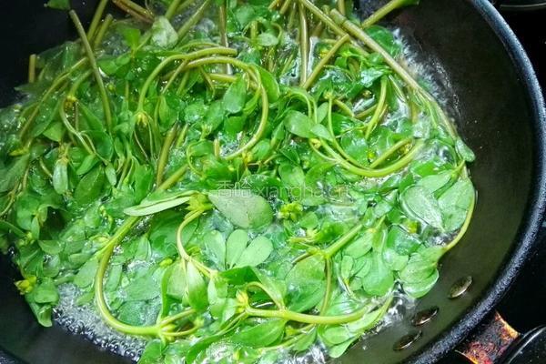 凉拌马齿苋的做法图解3