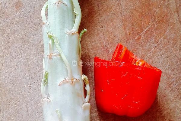 虾油笋丝的做法图解1