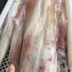 大管（鱿鱼）的做法[图]