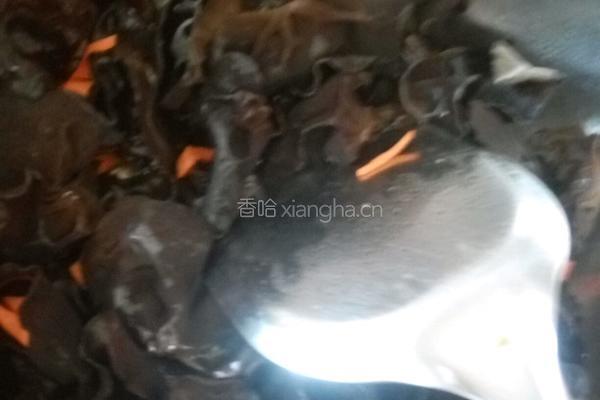 木耳炒肉的做法图解5