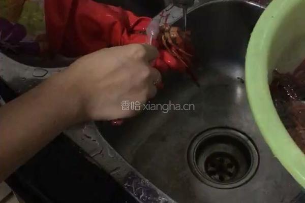 香辣小龙虾的做法图解2