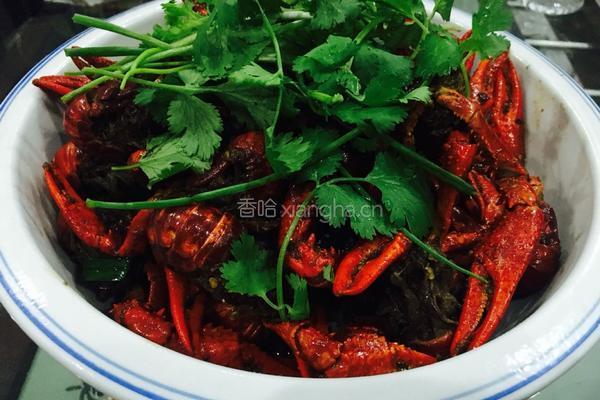 香辣小龙虾的做法图解8