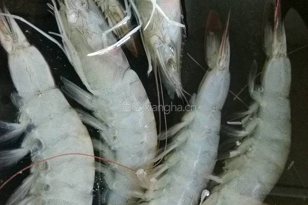 蓝调抠门儿虾的做法图解1