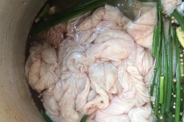 大肠炒豆芽的做法图解2