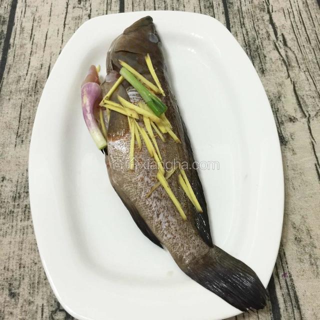 石斑鱼铺上姜丝，两段葱白，
一起蒸。

