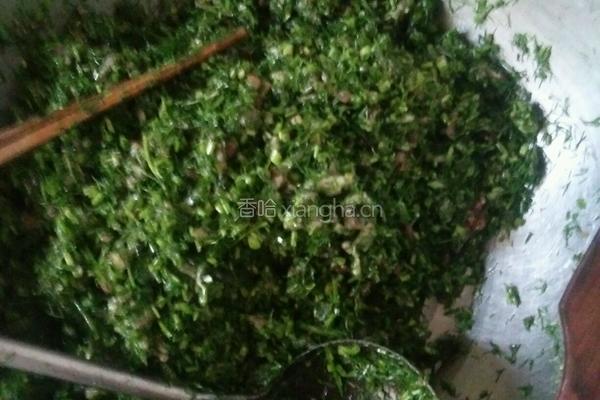 茴香肉菜饼的做法图解3