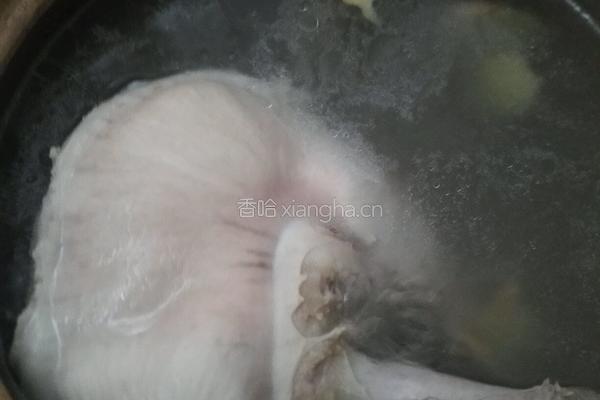 猪肚炖养脾散的做法图解5
